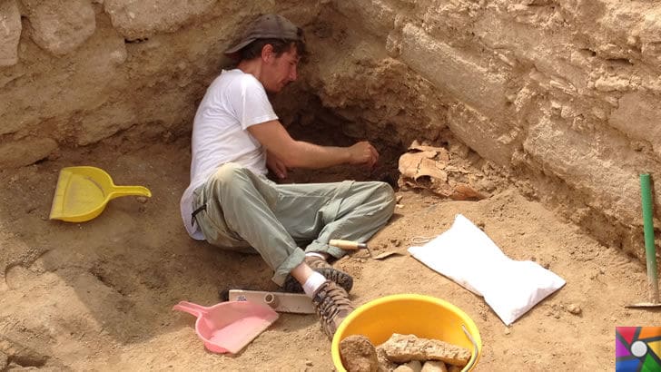 Arkeolog Maaşları Ne Kadar? Ne İş Yaparlar?